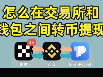 分期乐借款未到账原因探析