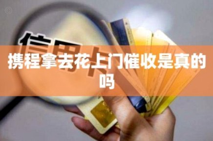 携程拿去花是网贷吗