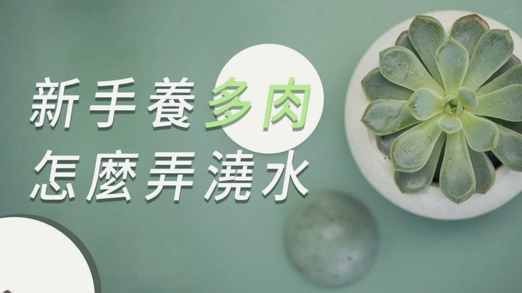 怎么自己套花呗出来