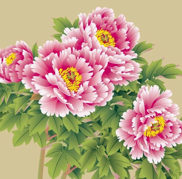 花呗用来干什么的