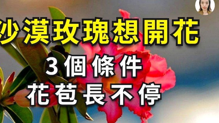 花呗额度怎么升到5万