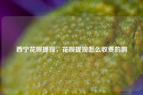 花呗合规提现四步法，避开常见坑