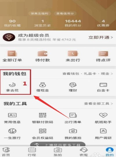 携程 拿去花选项没有了