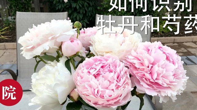 花呗还款怎么办