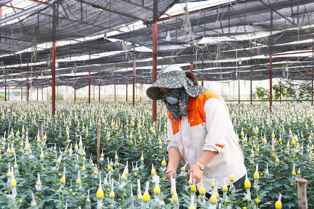 花呗消费商家提现手续费：风险定价与合规成本