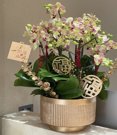花呗消费商家提现手续费
