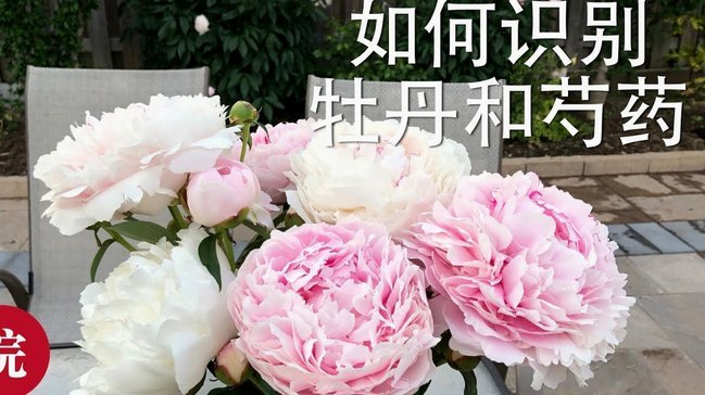 花呗提取现金的真相是什么？