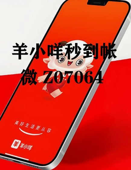 便荔卡包取现额度实用提取方法