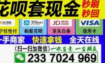 2021花呗套